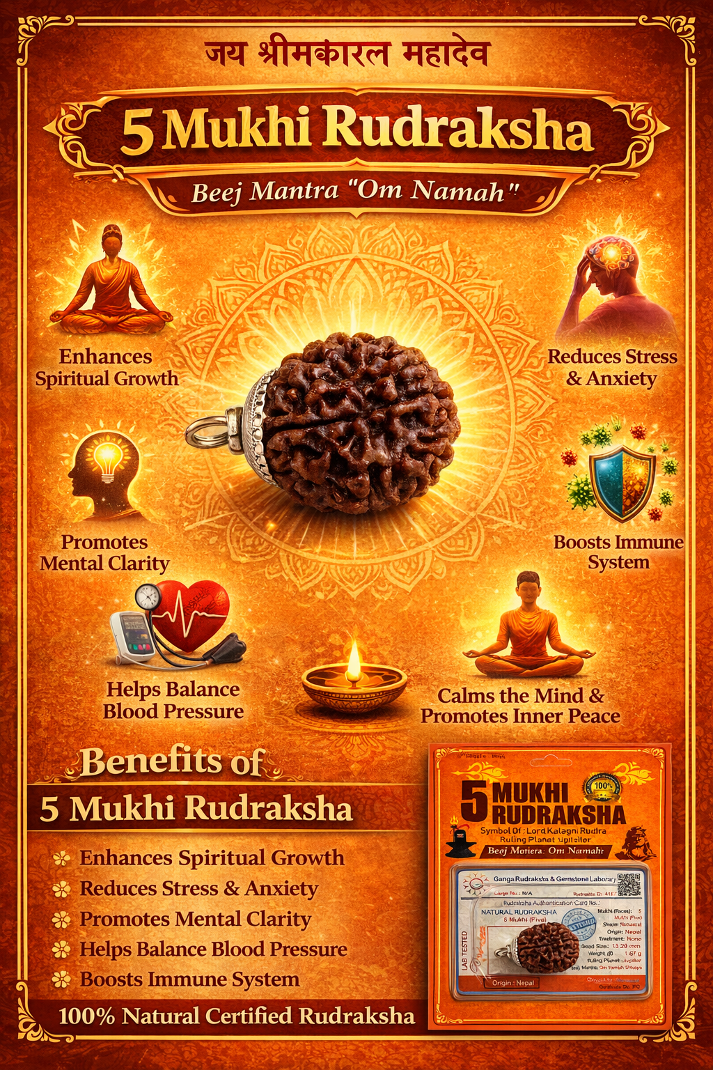 5 Mukhi Rudraksha