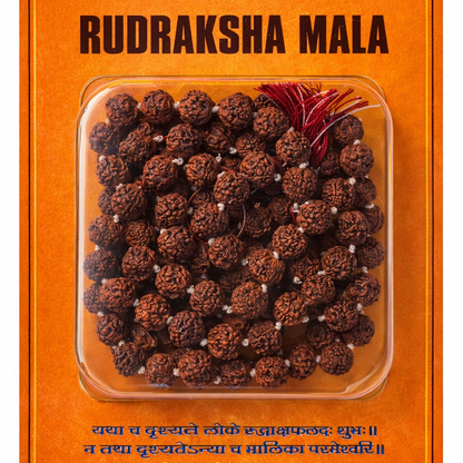 Rudraksha Mala