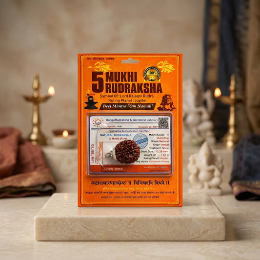 5 Mukhi Rudraksha