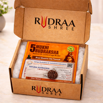 5 Mukhi Rudraksha