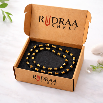 5 Mukhi rudraksha - Gold Cotted Mala