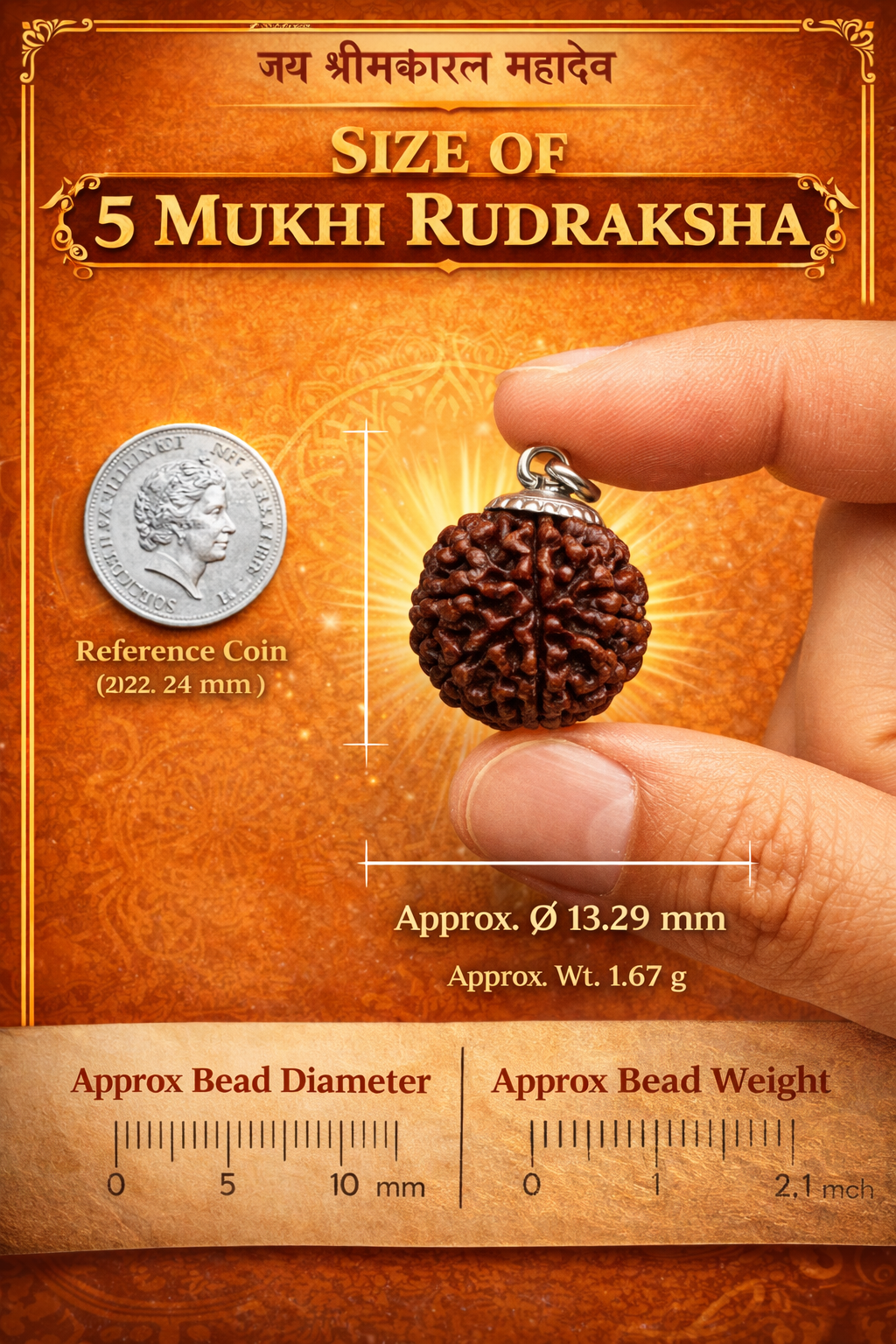 5 Mukhi Rudraksha